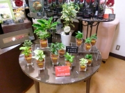 東京都千代田区の花屋　はこねフローリスト内幸町店