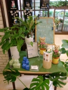 東京都千代田区の花屋　はこねフローリスト内幸町店