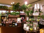 東京都千代田区の花屋　はこねフローリスト内幸町店
