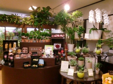 東京都千代田区の花屋 はこねフローリスト内幸町店にフラワーギフトはお任せください 当店は 安心と信頼の花キューピット加盟店です 花キューピットタウン